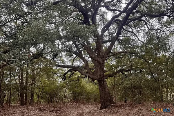12 Acres Mt. Pleasant Rd, Cedar Creek, TX 78612