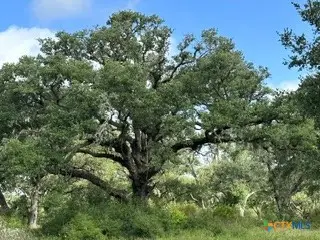 0000 Mission Valley Rd Road, Cuero, TX 77954 - #3