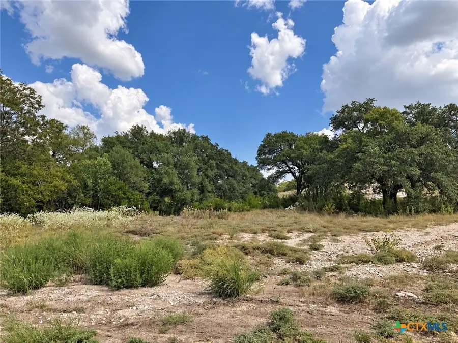 209 Lorhan Falls, Belton, TX 76513 - #3