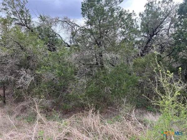 800 Fox Road, San Marcos, TX 78666