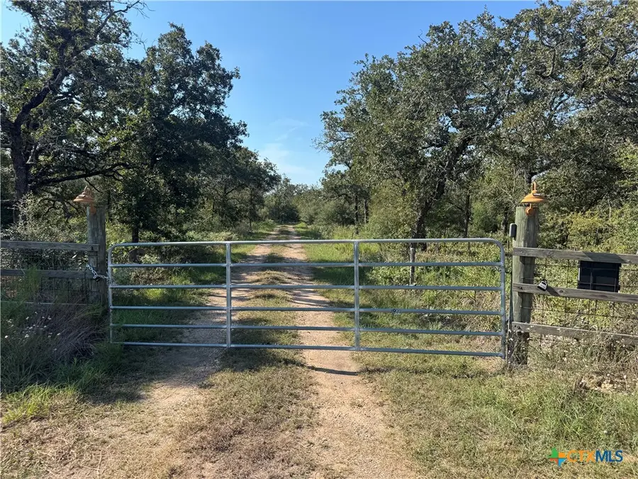 379 Sulphur Creek Estates Road, Goliad, TX 77963 - #2