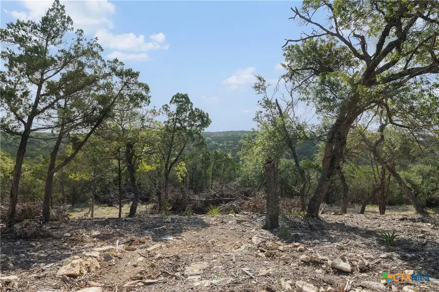 601 Mount Olive School Road, Wimberley, TX 78676 - #2