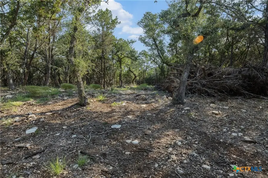 601 Mount Olive School Road, Wimberley, TX 78676 - #3
