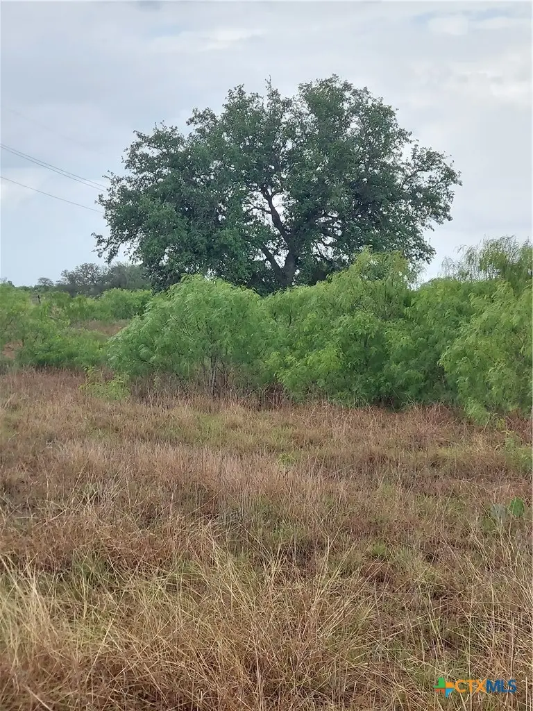 1060 Fox Lane, Lockhart, TX 78644 - #3