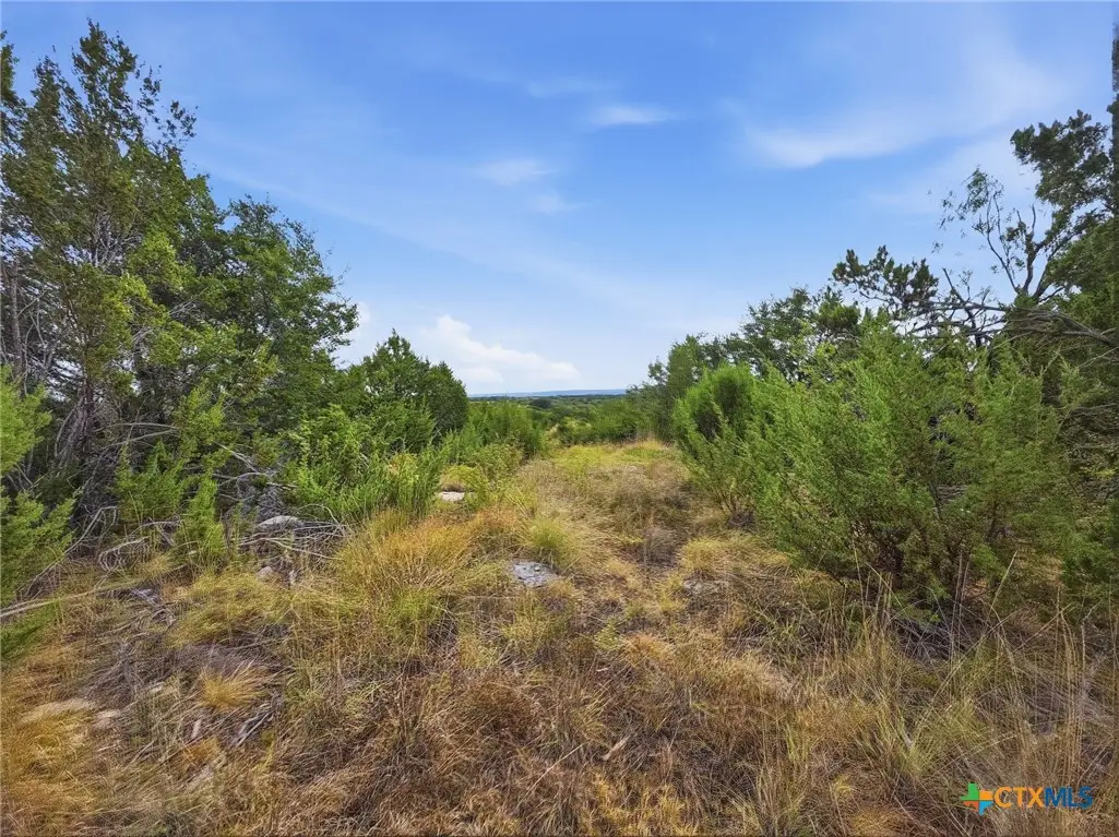 Lot 1 Cr 607, Hamilton, TX 76531 - #1
