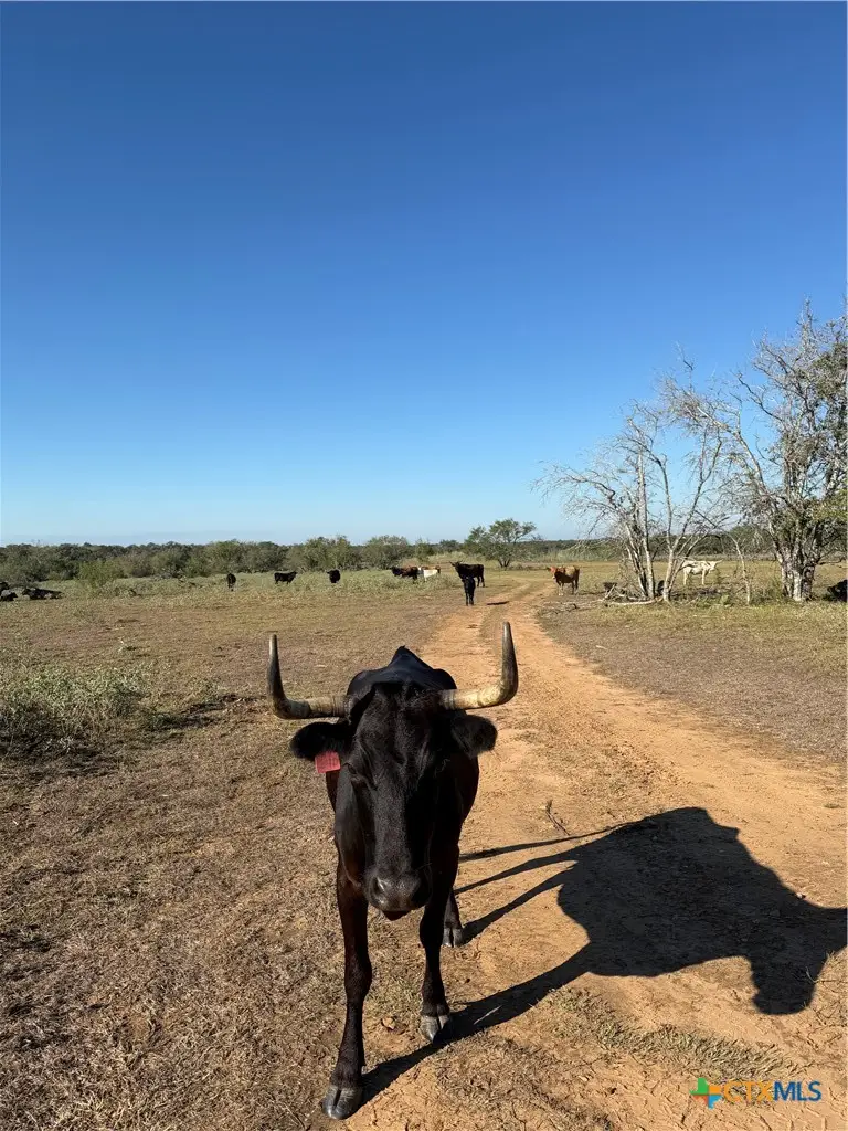 3841 County Road 427, Stockdale, TX 78160 - #2