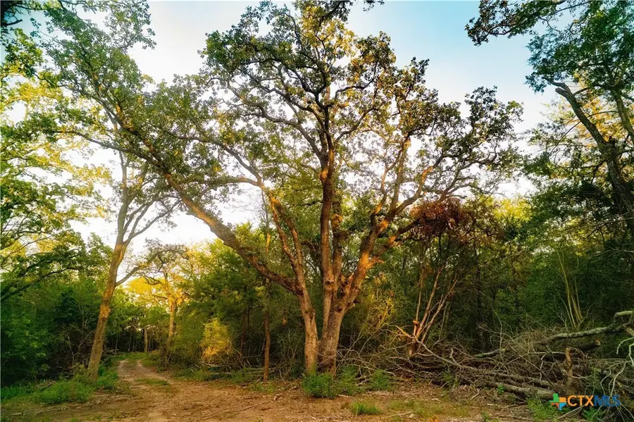 12424 Red Hill Road, Hearne, TX 77859 - #3
