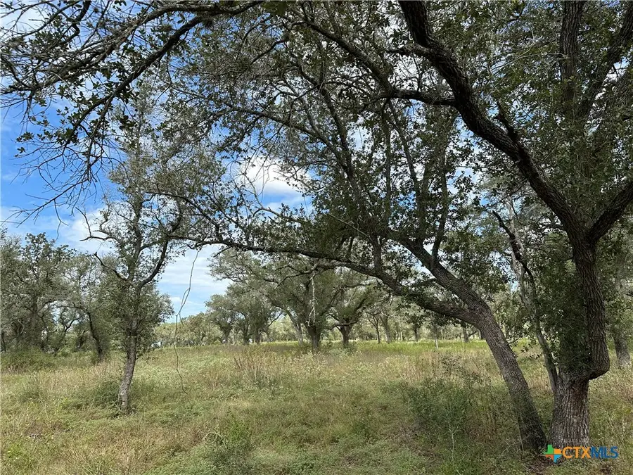 Tract 4 Regan, Victoria, TX 77905 - #3