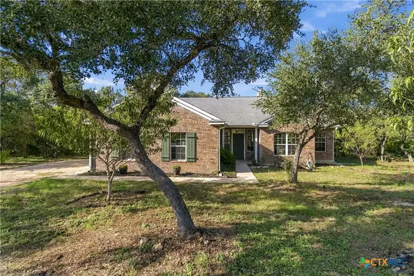 205 Homestead Road, Kyle, TX 78640