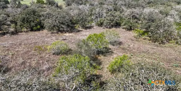 2296 Zion Hill Road, Seguin, TX 78155 - #3