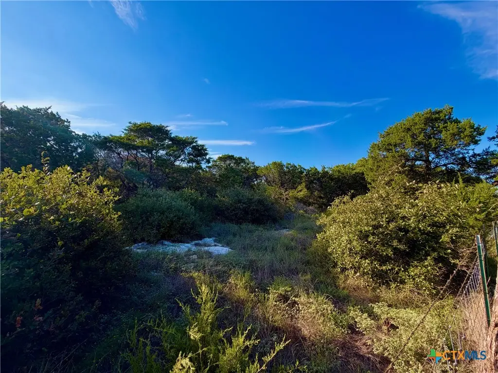 TBD Old Osage, Gatesville, TX 76528 - #1