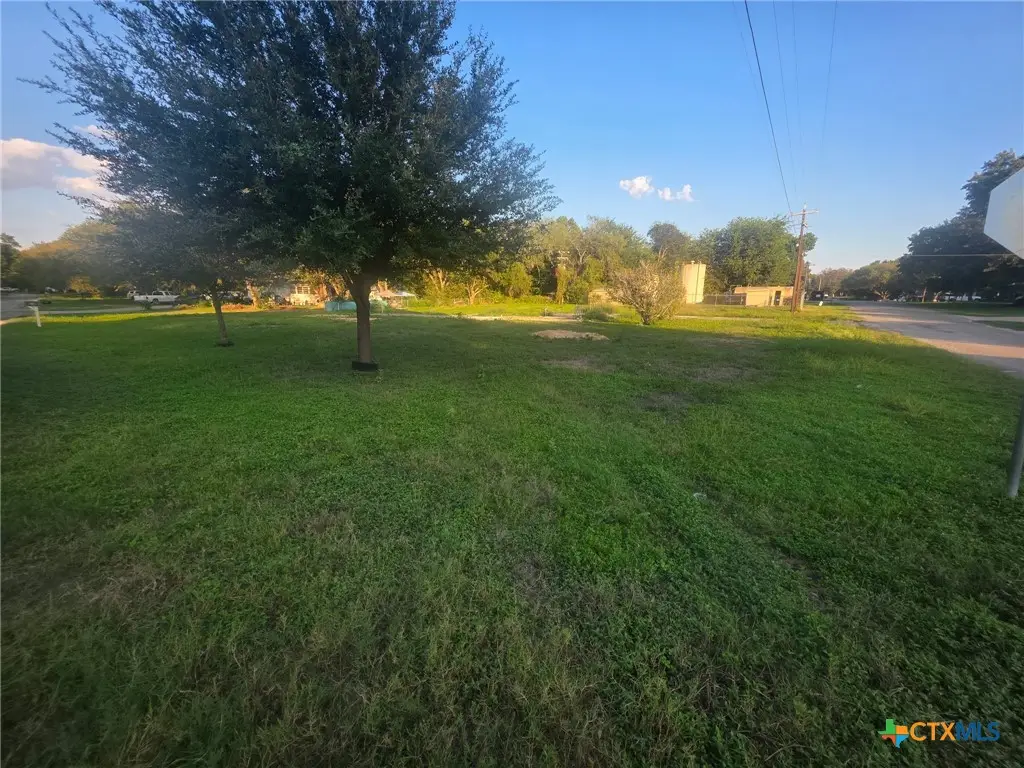 309 Willow Drive, McQueeney, TX 78123 - #1
