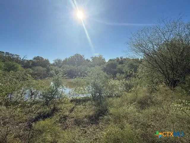 2607 Fm 318, Yoakum, TX 77995 - #3