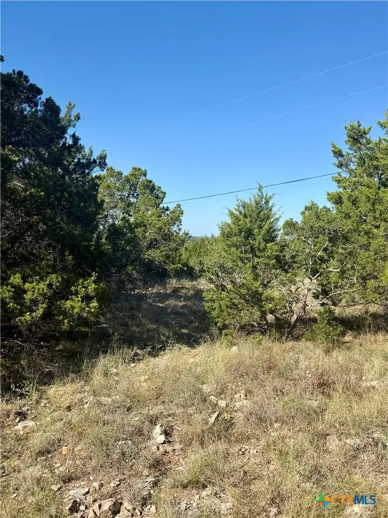 905 Mimosa Court, Fischer, TX 78623 - #1