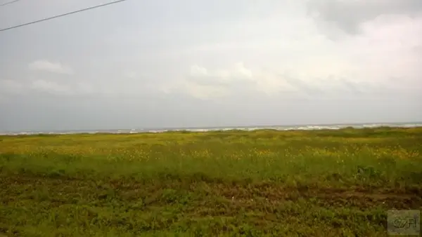 TR 47 San Luis Pass Road, Galveston, TX 77554