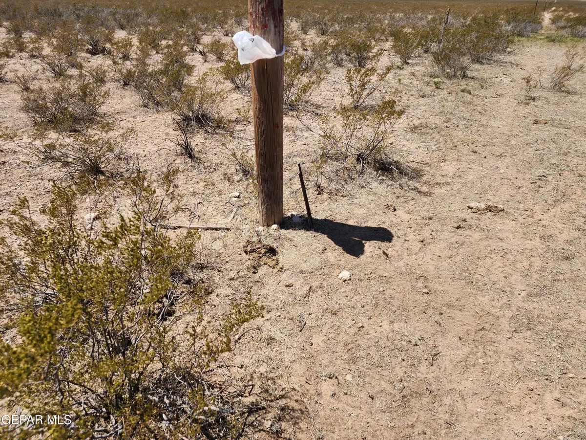 8438 U S Highway 62/180, Salt Flat, TX 99999 - #1