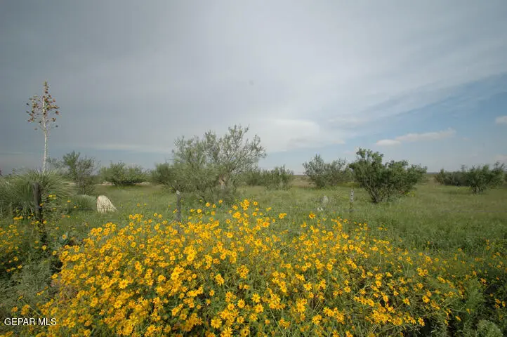 104 75 Tsp 5 Sec 34 T&p, Lot 32, Unincorporated, TX 99999 - #2