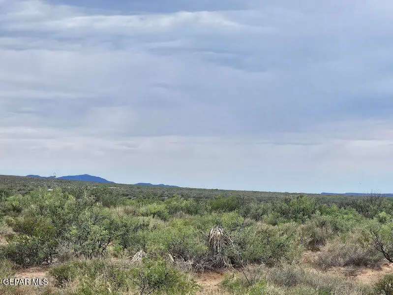 27 SEC 12 Psl Sierra Prieto #71 Lot 17, Sierra Blanca, TX 79851 - Image #2