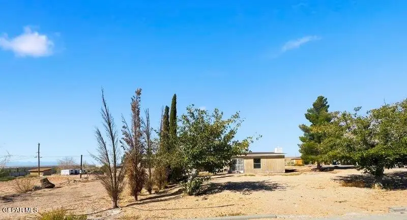 1657 Wolsey Drive, Clint, TX 79836 - Image #3
