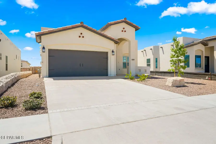 664 Paseo Musical Street, El Paso, TX 79928 - #3