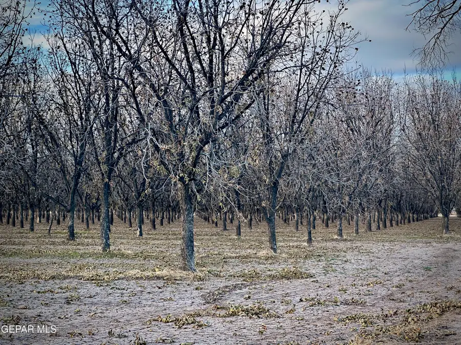 TBA Gillett Street, Canutillo, TX 79835 - Image #2