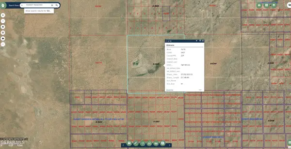 76 TSP 4 Sec 41 T & P Sunset Ranch, Ft Hancock, TX 79839