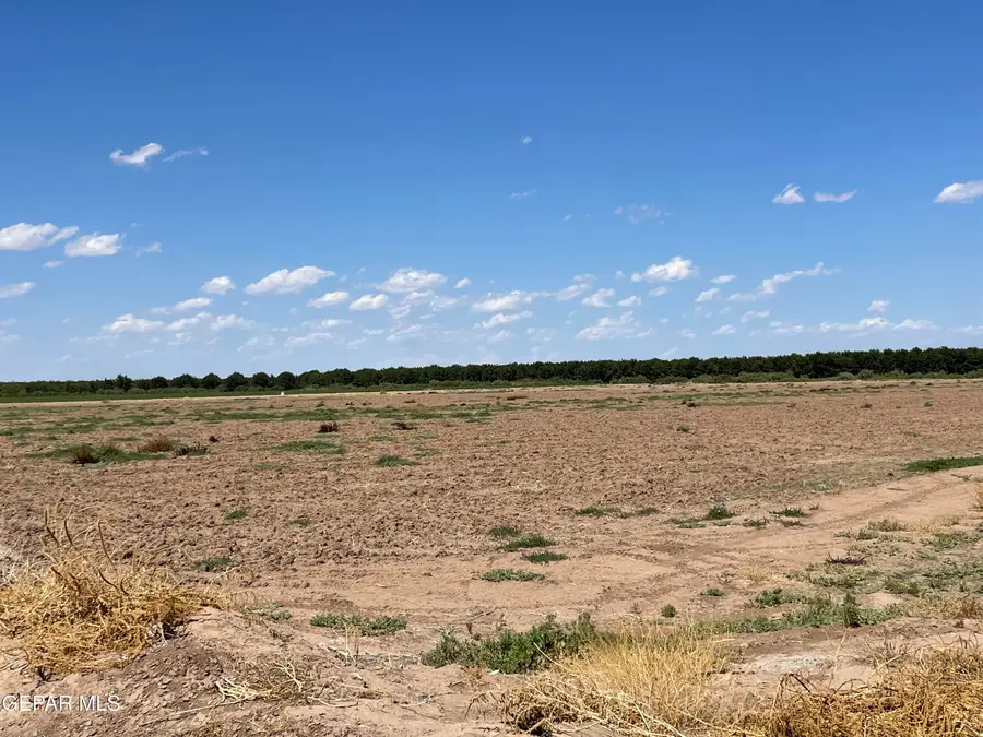 23.64 Ac Island Guadalupe Road, Tornillo, TX 79853 - Image #2