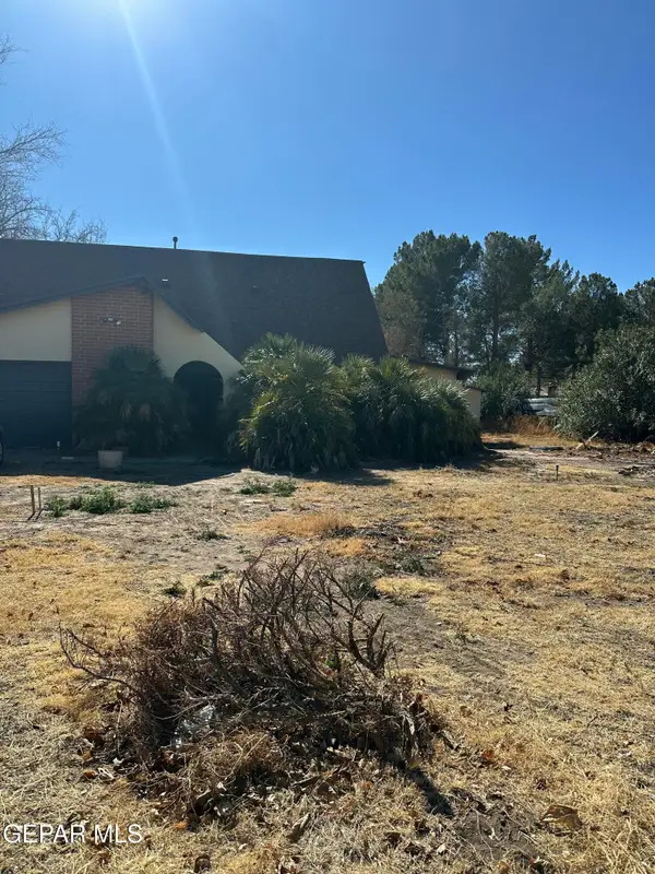 728 Green Cove Drive, El Paso, TX 79932