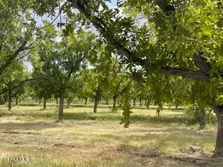 850 W Joy Drive, Anthony, NM 88021 - #3