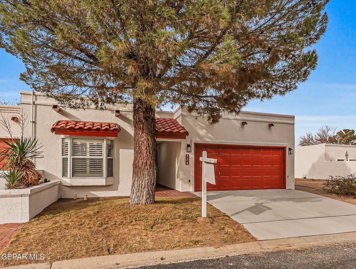 228 Casas Bella Lane, Santa Teresa, NM 88008 - #1