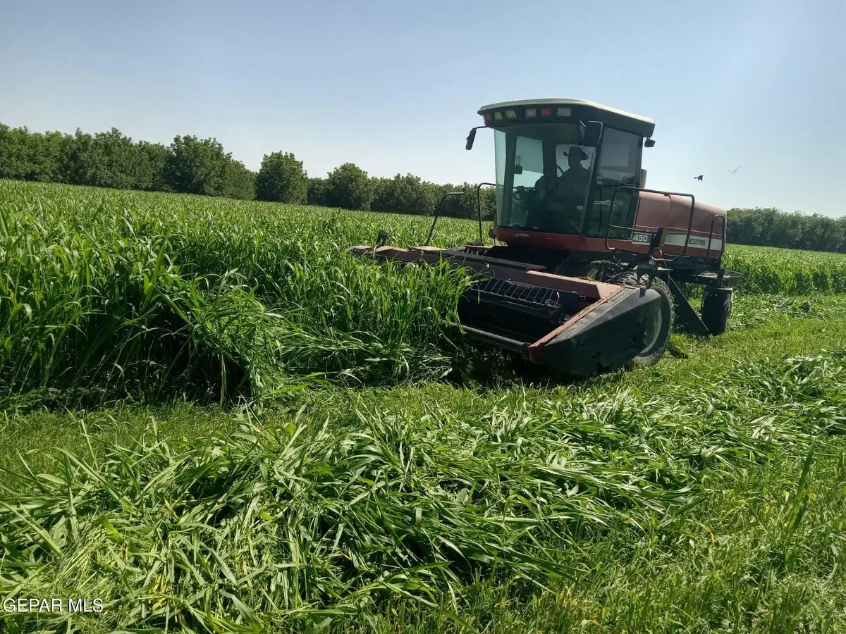 844 Fabens Island Road, Fabens, TX 79838 - #1