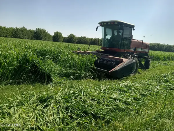 844 Fabens Island Road, Fabens, TX 79838