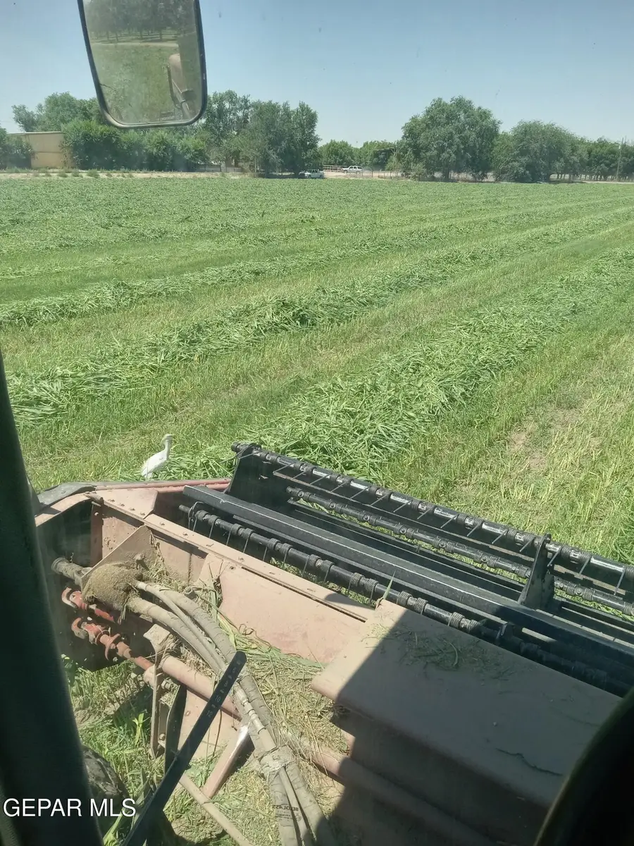 844 Fabens Island Road, Fabens, TX 79838 - #3