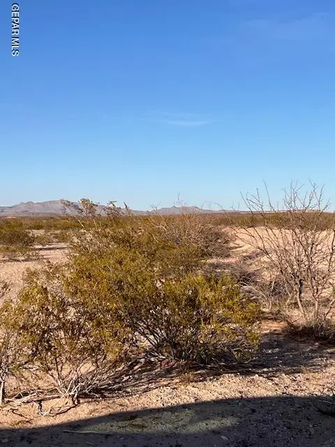 TBD Tbd, Fort Hancock, TX 79839 - #1