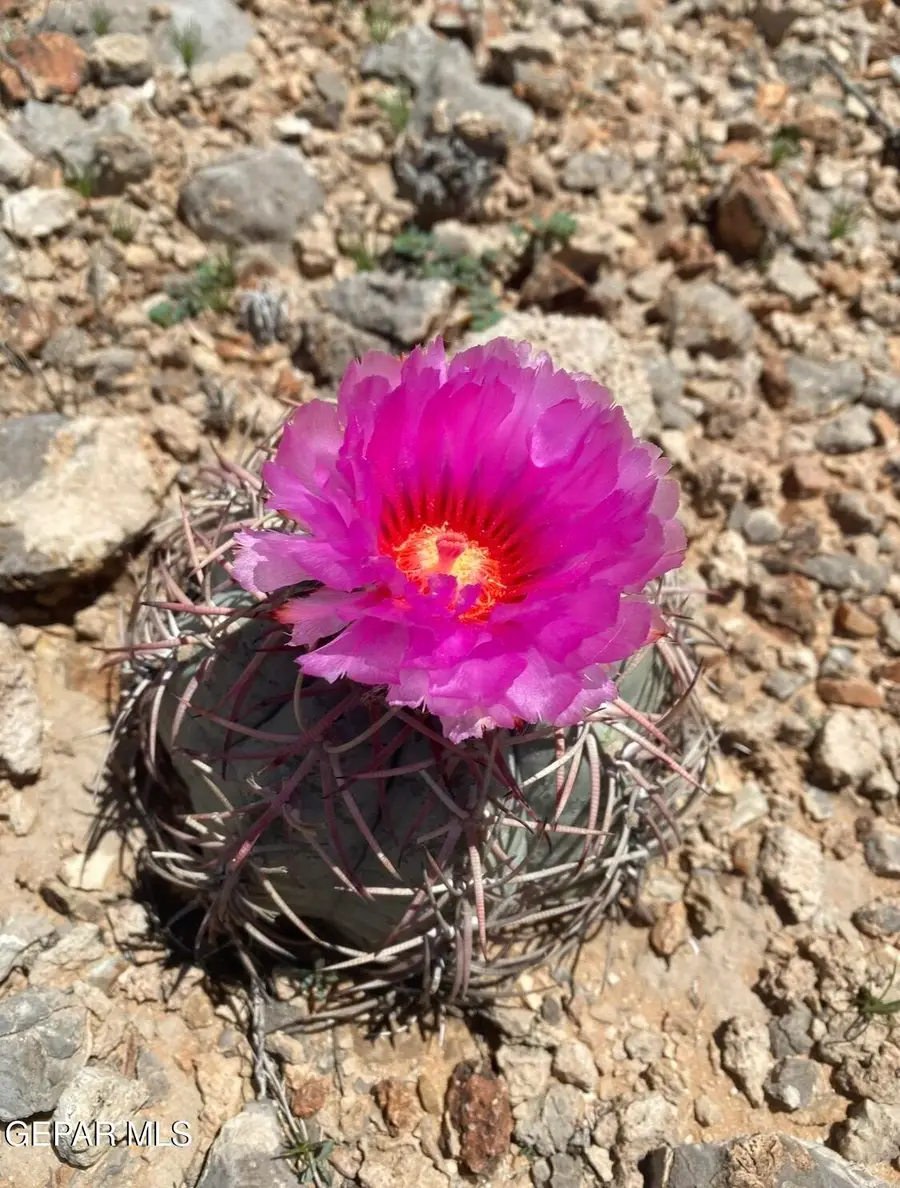 PN-84310 Tbd, El Paso, TX 79938 - #2