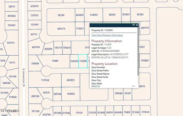 PN-116290 40 Horizon City Estates Lot 8, Horizon City, TX 79928