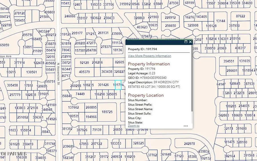 PN-191794 39 Horizon City Estates Lot 34, Horizon City, TX 79928 - #2