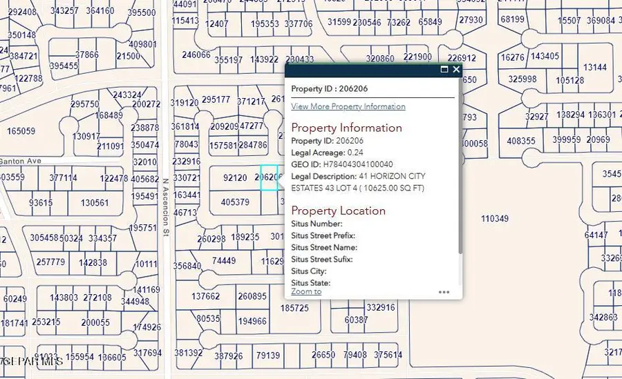 PN-206206 41 Horizon City Estates Lot 4, Horizon City, TX 79928 - #2