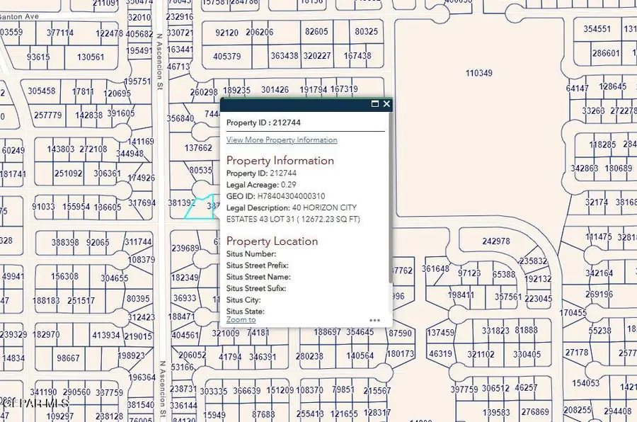 PN-212744 40 Horizon City Estates Lot 31, Horizon City, TX 79928 - #2
