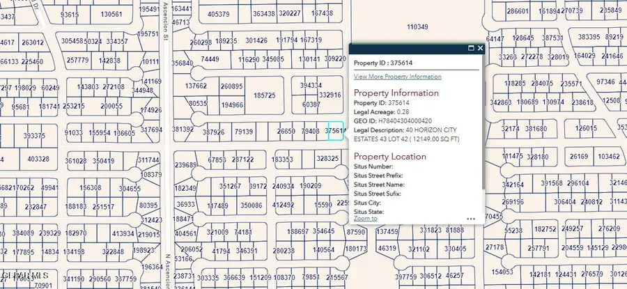 PN-375614 40 Horizon City Estates Lot 42, Horizon City, TX 79928 - #2
