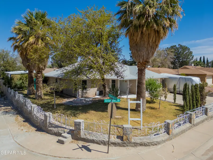 140 Torrey Pines Drive, Santa Teresa, NM 88008 - #2