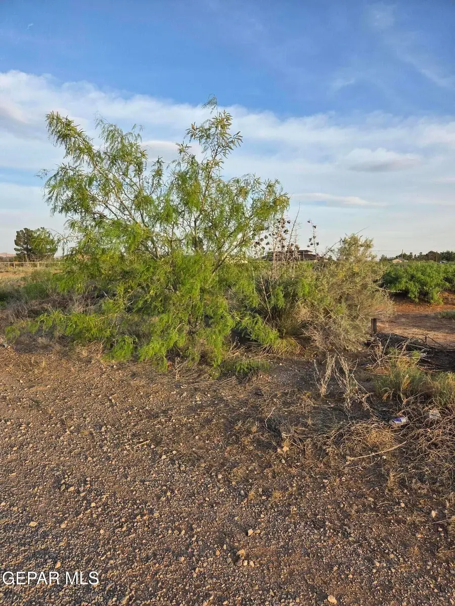 5174 Desert Willow Drive, El Paso, TX 79938 - #3