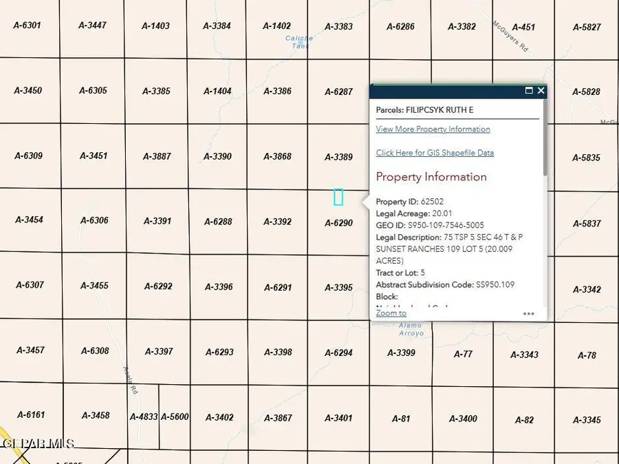 PN-62502 Sunset Ranches #109 Lot 5, Fort Hancock, TX 79839 - #3