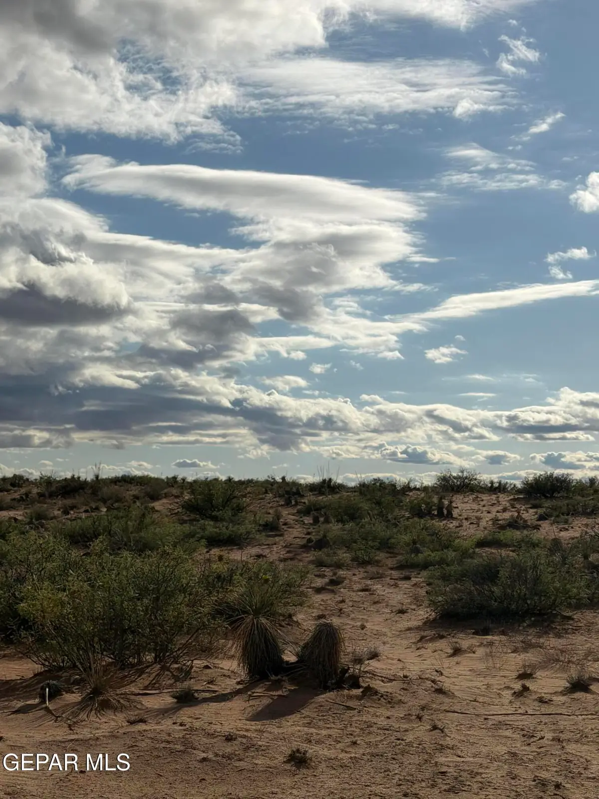 TBD Tbd Lot 8 Block 11 Sec 22 Psl, Sierra Blanca, TX 79851 - #1