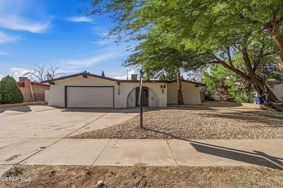 709 Frontera Road, El Paso, TX 79922 - #3