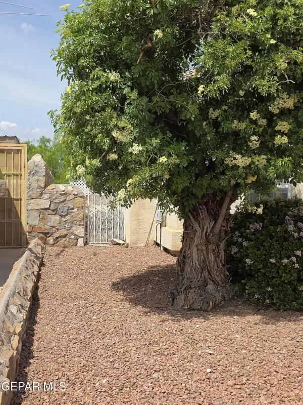 7457 Plaza Taurina Drive, El Paso, TX 79912