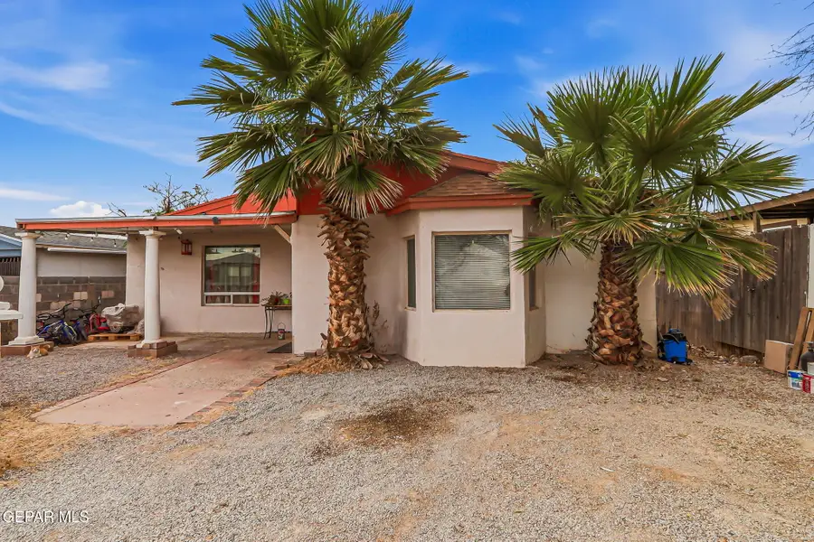 7335 Buckhorn Street, Canutillo, TX 79835 - #3