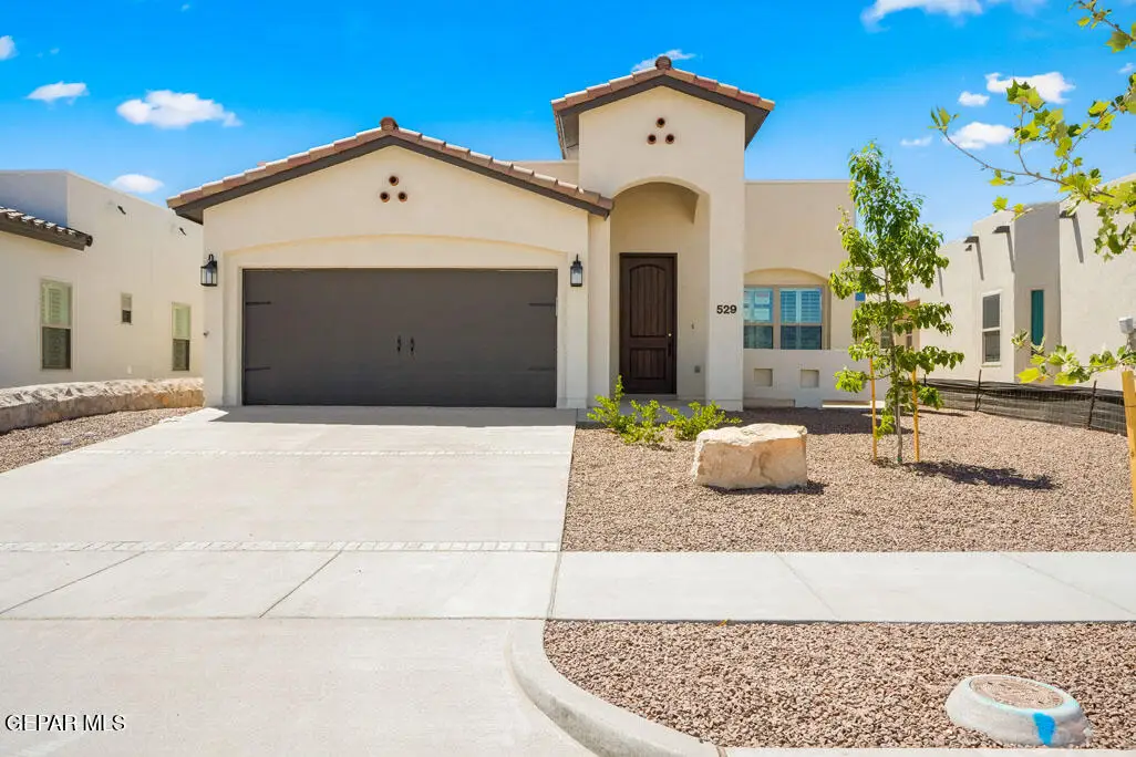 13858 Paseo Bosque Avenue, El Paso, TX 79928 - #1