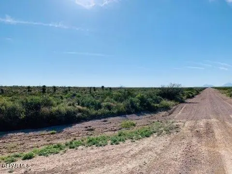68 Sec 10 Golden Hills Estates, Dell City, TX 79837 - #3