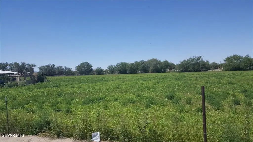 13054 Alarcon Road, San Elizario, TX 79849 - #1